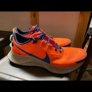 Nike Pegasus Trail 3